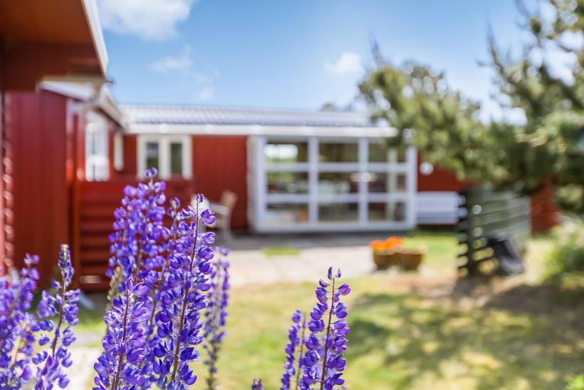 Foto von Ferienhaus VZ55 in Lakolk - Rømø