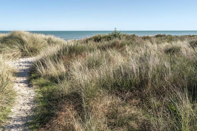 Foto von Ferienhaus WA26 in Lyngså - Nordjütland Ost