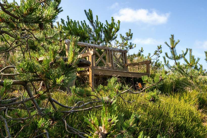 Foto von Ferienhaus WA36 in Blåvand - Westjütland