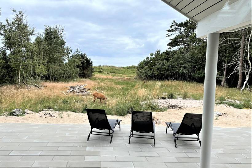 Foto von Ferienhaus WA69 in Ristinge - Langeland