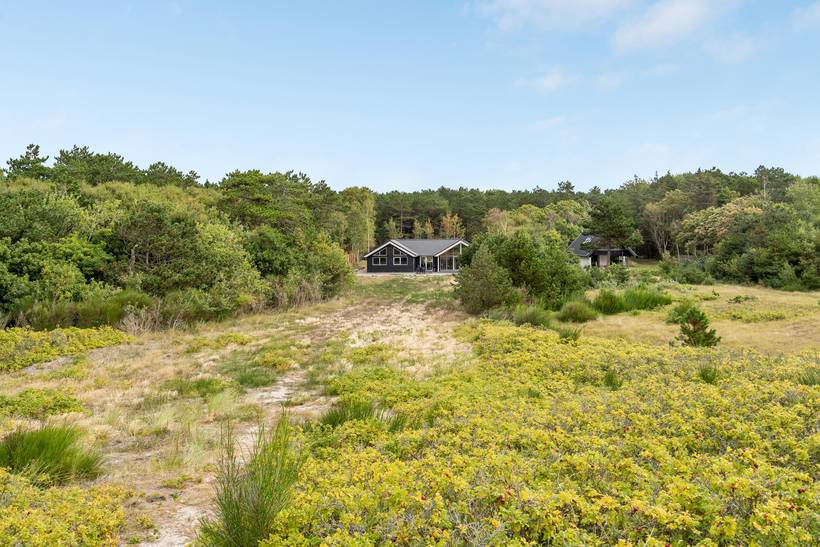 Foto von Ferienhaus WA69 in Ristinge - Langeland