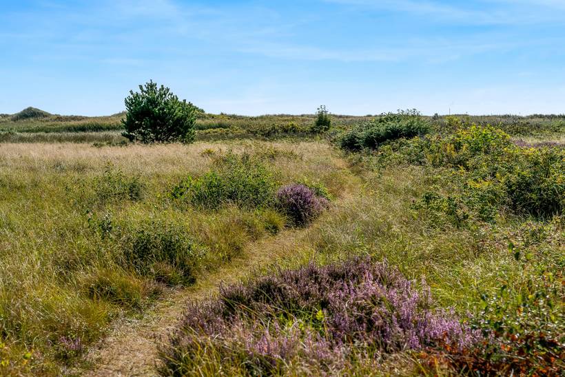Foto von Ferienhaus WB65 in Hou - Nordjütland Ost