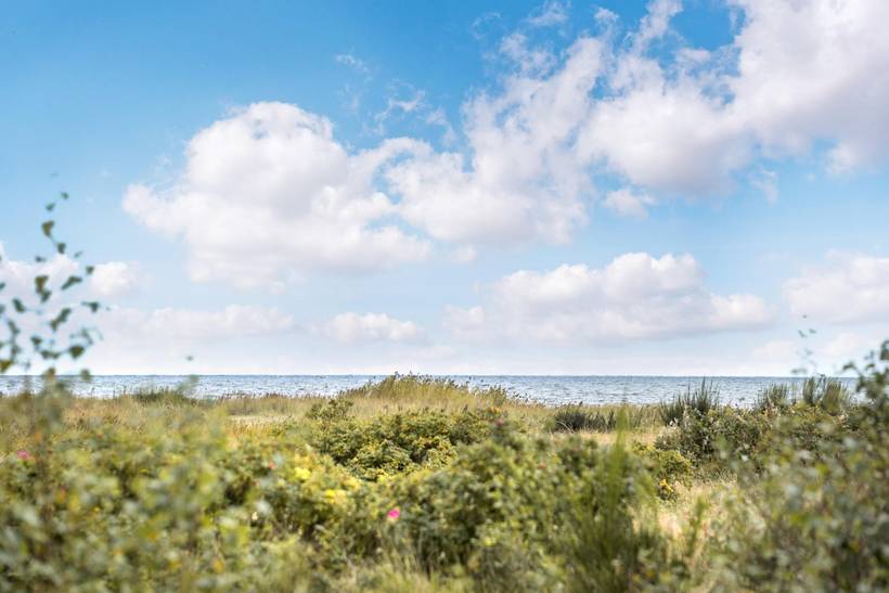 Foto von Ferienhaus WB65 in Hou - Nordjütland Ost