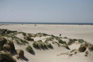 Foto von Ferienhaus WB94 in Sønderstrand - Rømø