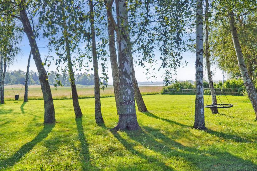 Foto von Ferienhaus WC02 auf Tørslev Hage - Nordseeland