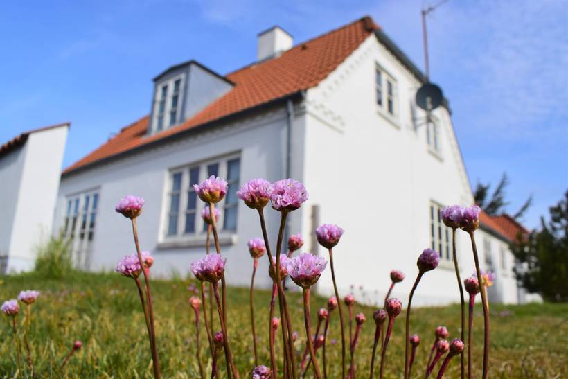 Foto von Ferienhaus WC37 in Vester Husby - Westjütland