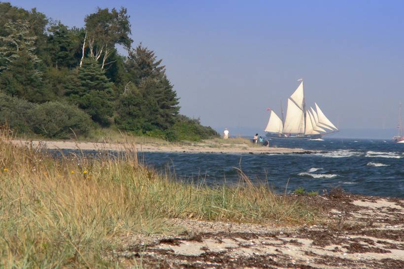 Foto von Ferienhaus WC47 in Fur - Thy/Limfjord