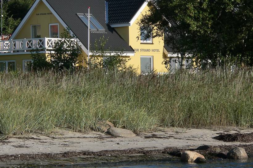Foto von Ferienhaus WC47 in Fur - Thy/Limfjord