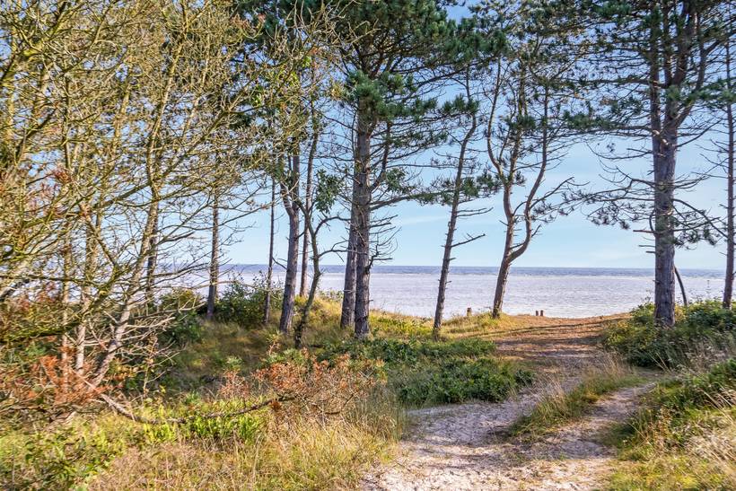 Foto von Ferienhaus WD02 in Øster Hurup - Nordjütland Ost