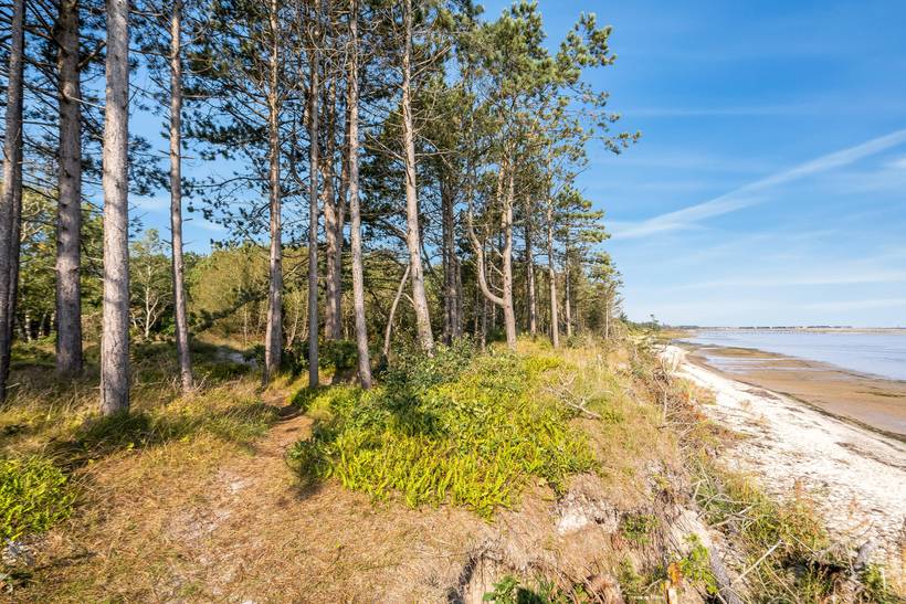 Foto von Ferienhaus WD02 in Øster Hurup - Nordjütland Ost