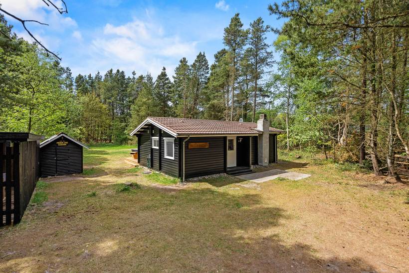 Foto von Ferienhaus WD05 in Ho - Blåvand - Westjütland