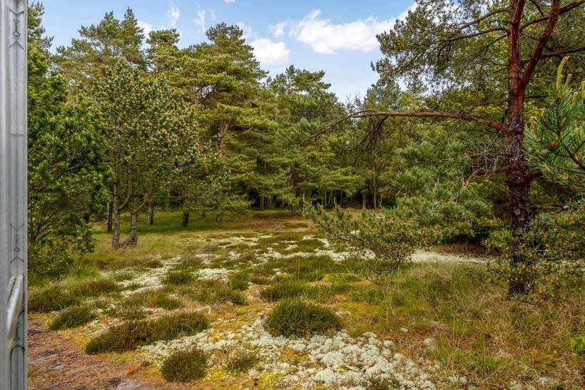 Foto von Ferienhaus WE03 in Østerby - Læsø