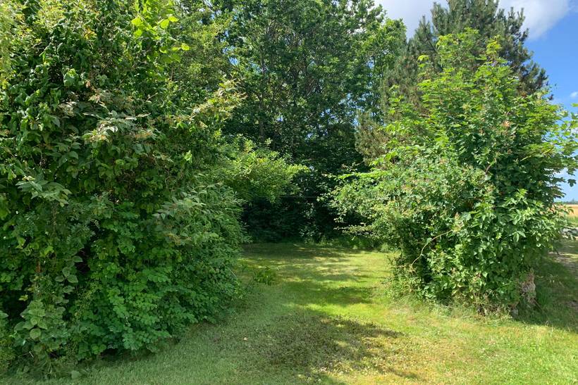 Foto von Ferienhaus WE68 auf Mors - Thy/Limfjord