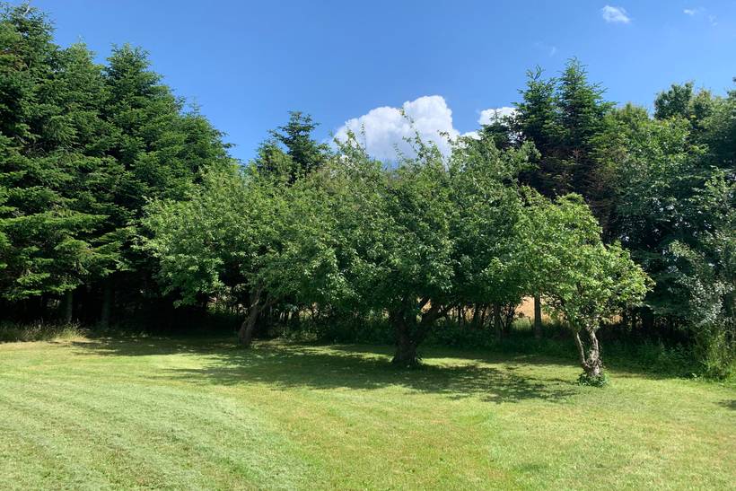 Foto von Ferienhaus WE68 auf Mors - Thy/Limfjord