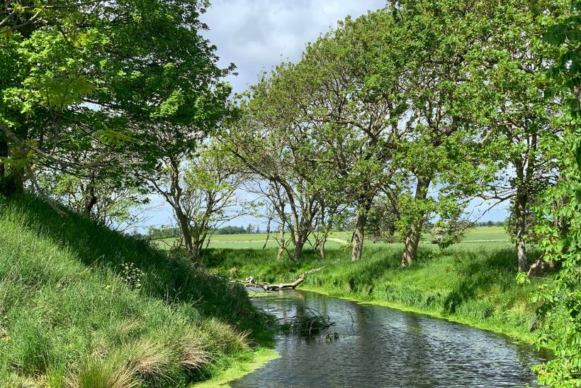 Foto von Ferienhaus WE68 auf Mors - Thy/Limfjord