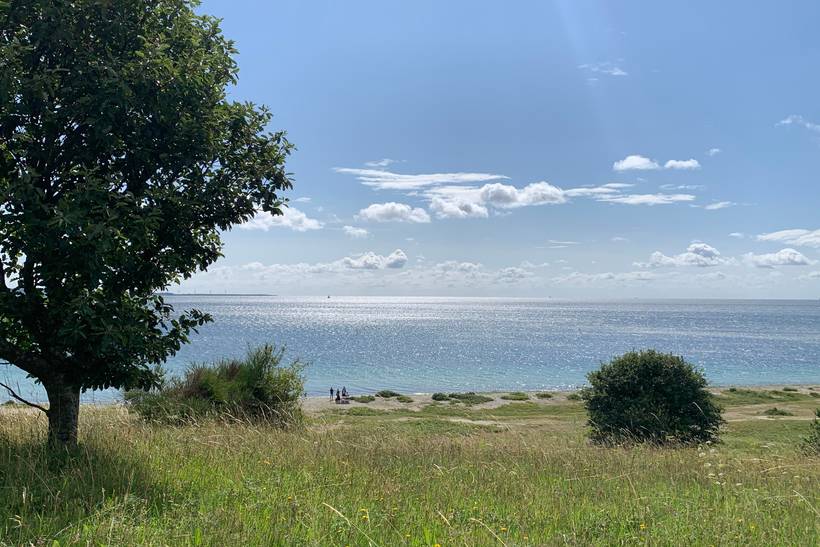 Foto von Ferienhaus WE92 in Helgenæs - Mols - Ostjütland