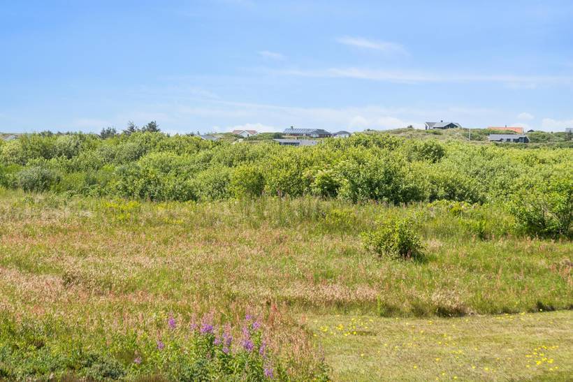 Foto von Ferienhaus WF45 in Lodbjerg Hede - Søndervig - Westjütland
