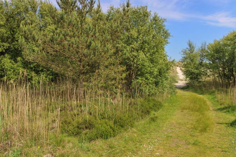 Foto von Ferienhaus WF54 in Bisnap - Hou - Nordjütland Ost
