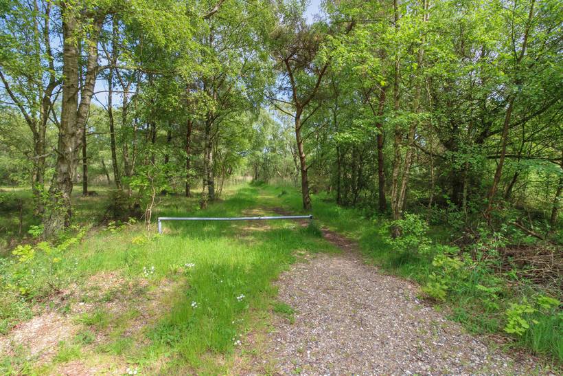 Foto von Ferienhaus WF54 in Bisnap - Hou - Nordjütland Ost