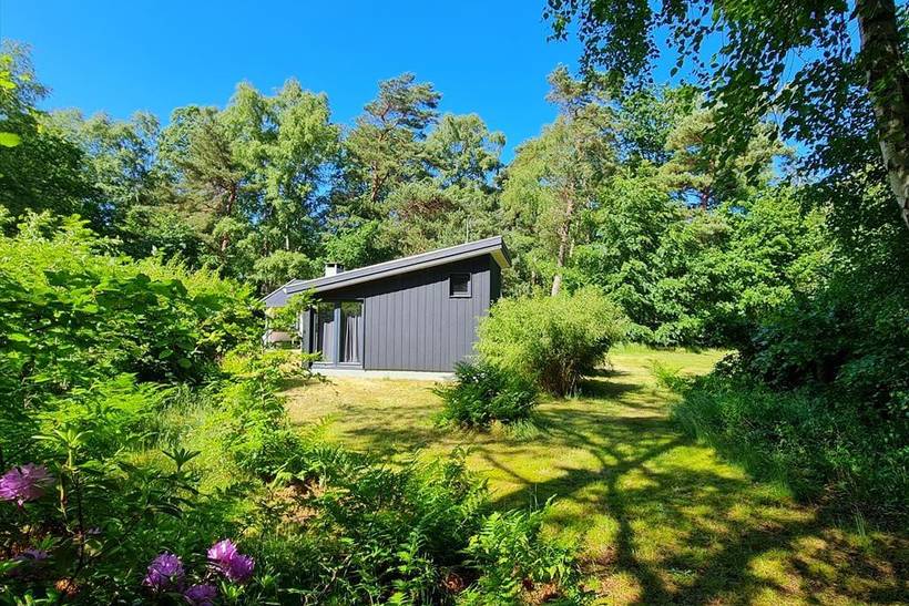 Foto von Ferienhaus WF60 in Strandsiden - Rørvig - Westseeland