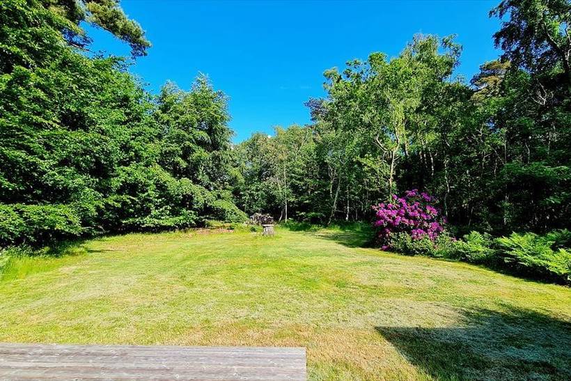 Foto von Ferienhaus WF60 in Strandsiden - Rørvig - Westseeland