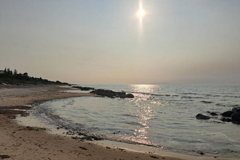 Foto von Ferienhaus WF92 in Smidstrup - Gilleleje - Nordseeland