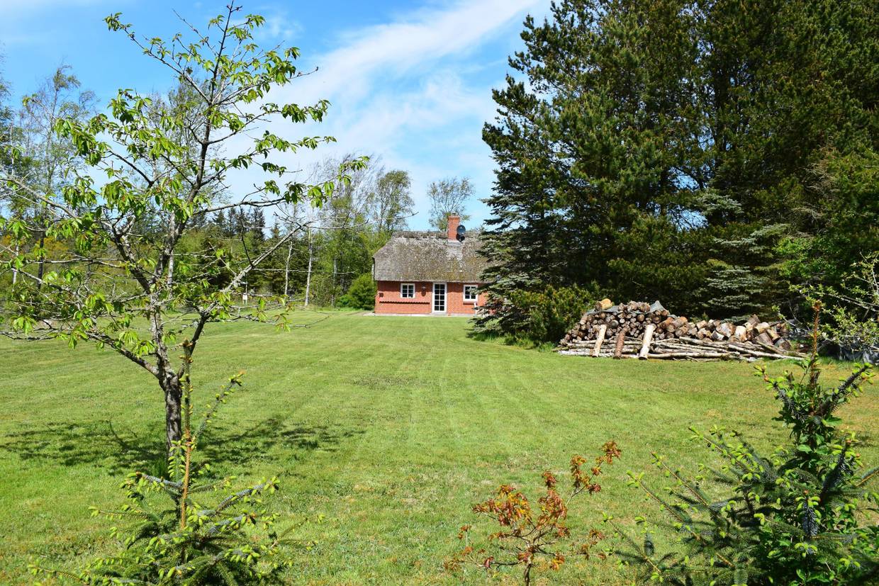 Foto von Ferienhaus WG31 in Vester Husby - Westjütland