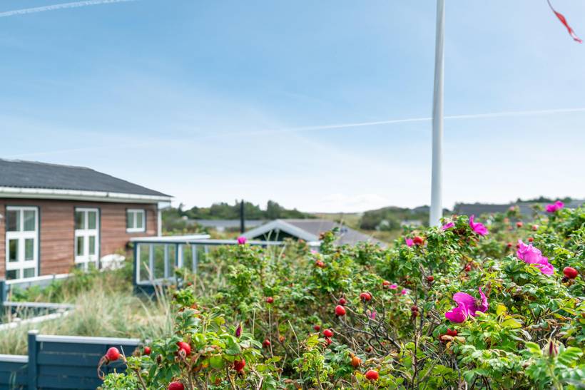 Foto von Ferienhaus WH17 in Klitmøller - Thy/Limfjord