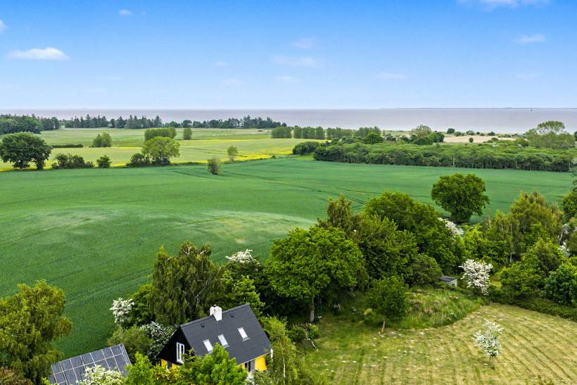 Foto von Ferienhaus WH47 auf Longelse - Langeland