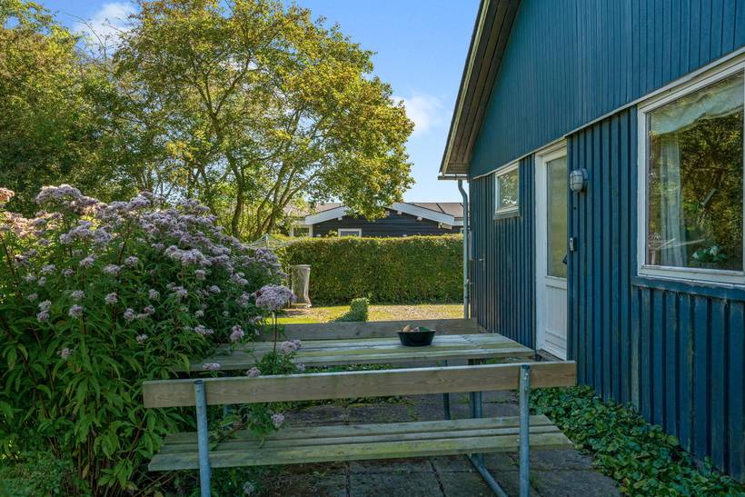 Foto von Ferienhaus WI31 in Rendbjerg - Südjütland
