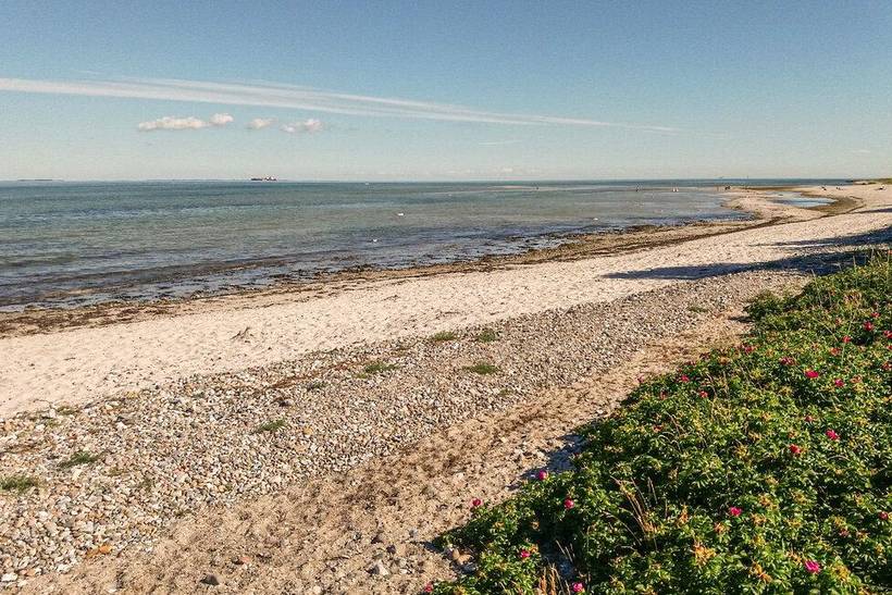 Foto von Ferienhaus WI46 in Spodsbjerg - Langeland