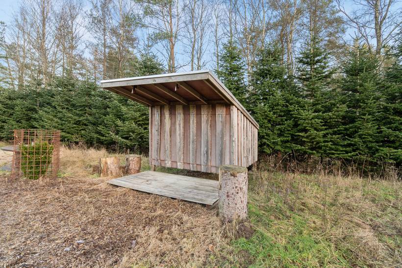Foto von Ferienhaus WJ65 in Silkeborg - Ostjütland