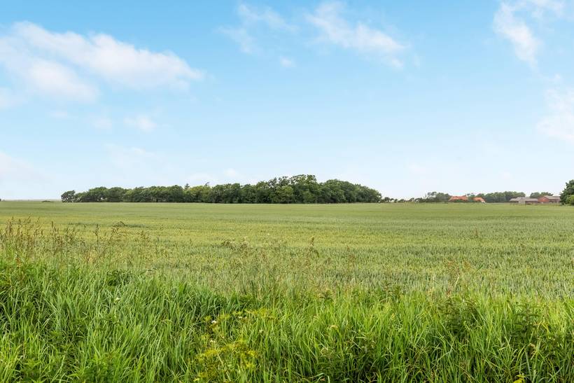 Foto von Ferienhaus WK06 in Skærbæk - Südjütland