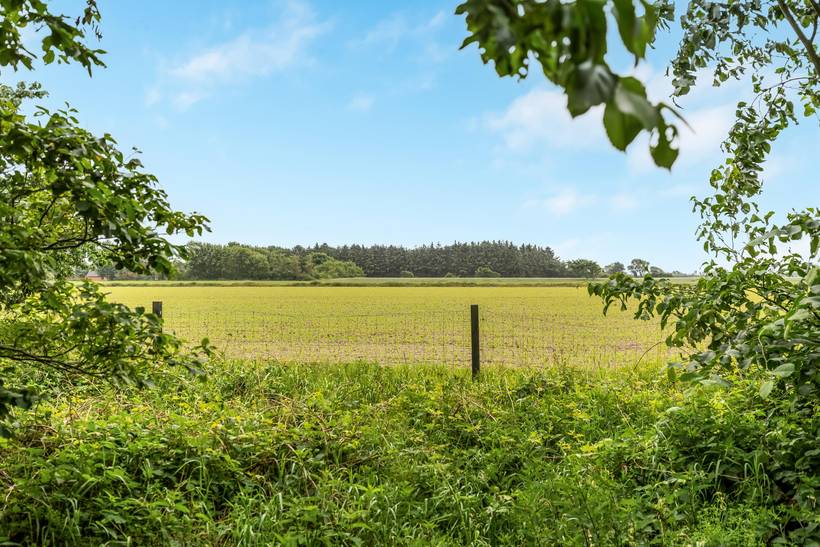 Foto von Ferienhaus WK06 in Skærbæk - Südjütland