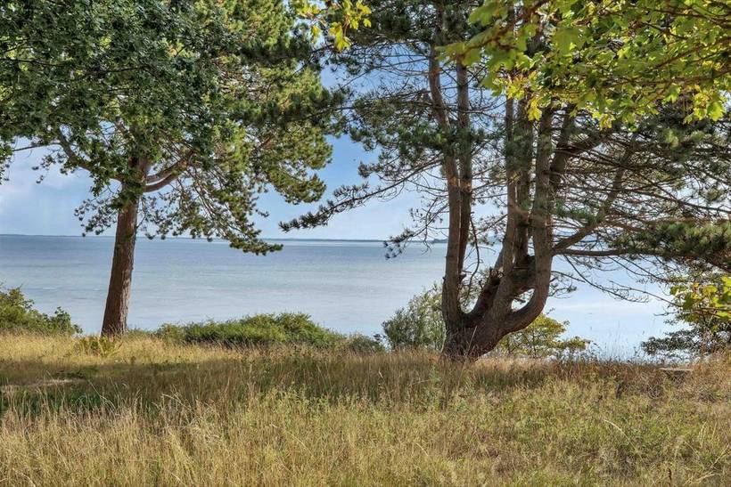 Foto von Ferienhaus WK64 in Sejerø Bugt - Westseeland