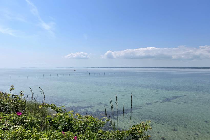 Foto von Ferienhaus WK93 in Lohals - Langeland