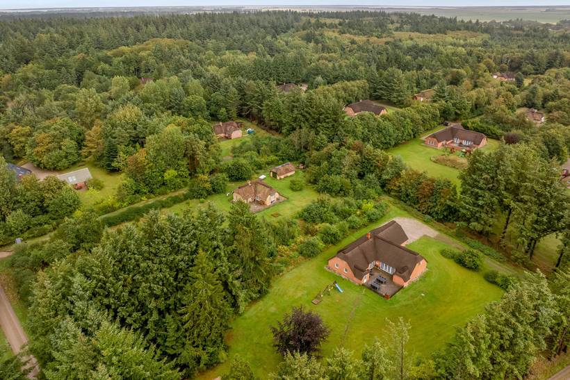 Foto von Ferienhaus WL44 in Vester Husby - Westjütland