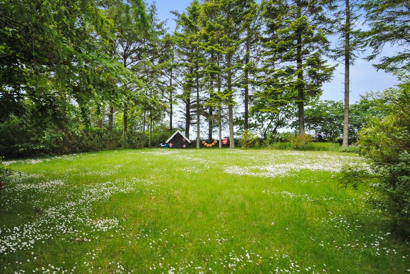 Foto von Ferienhaus WN21 in Klitmøller - Thy/Limfjord