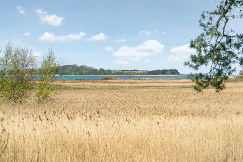 Foto von Ferienhaus WN71 in Falsled - Südfünen