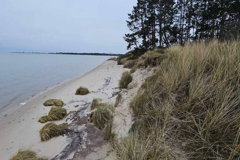Foto von Ferienhaus WO15 in Kongsmark - Rømø
