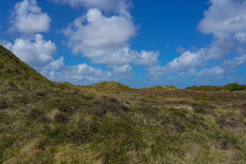 Foto von Ferienhaus WO15 in Kongsmark - Rømø