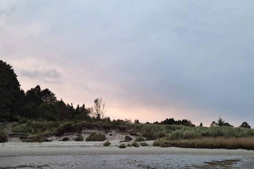 Foto von Ferienhaus WO15 in Kongsmark - Rømø