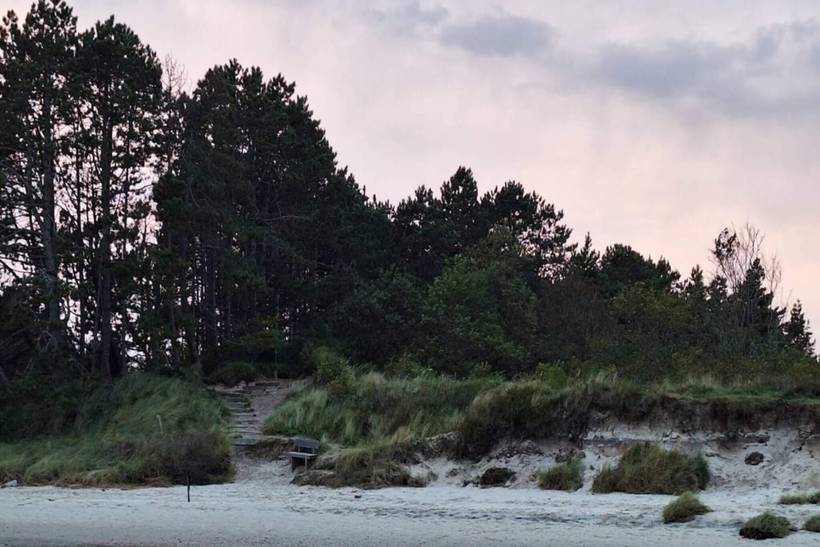 Foto von Ferienhaus WO15 in Kongsmark - Rømø