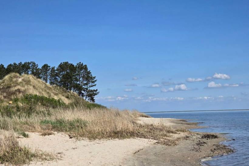 Foto von Ferienhaus WO15 in Kongsmark - Rømø