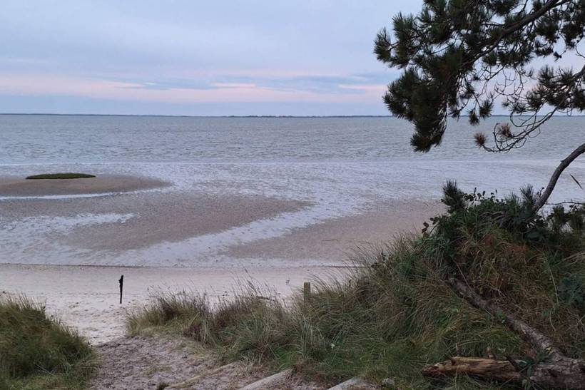 Foto von Ferienhaus WO15 in Kongsmark - Rømø