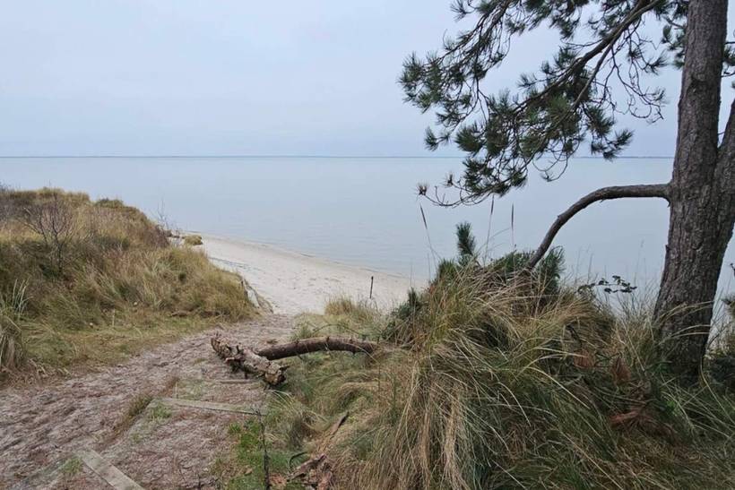 Foto von Ferienhaus WO15 in Kongsmark - Rømø