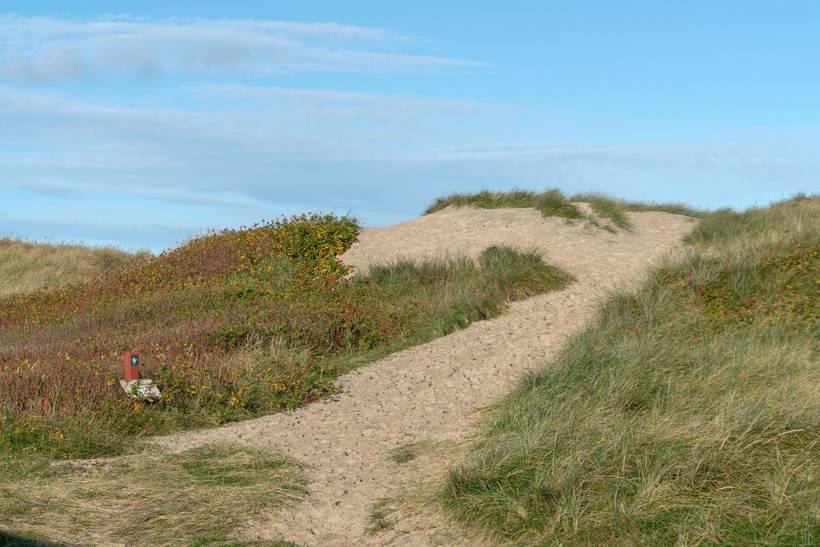 Foto von Ferienhaus WO17 in Klitmøller - Thy/Limfjord