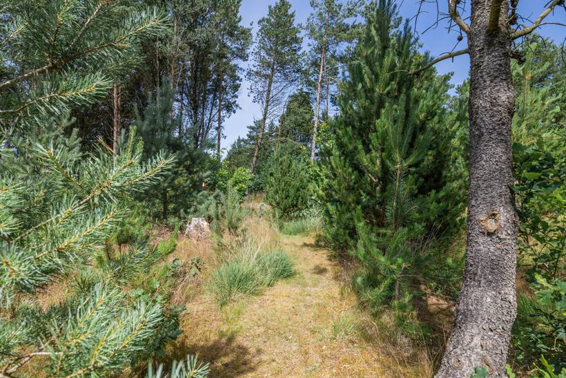 Foto von Ferienhaus WO63 in Houstrup - Westjütland