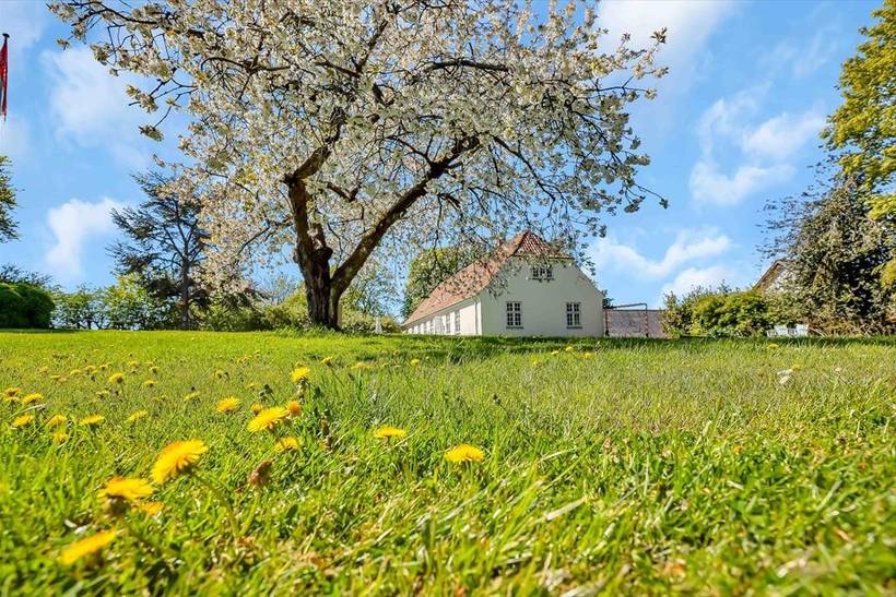 Foto von Ferienhaus WO91 auf Sejerø Bugt Lyngområderne - Westseeland