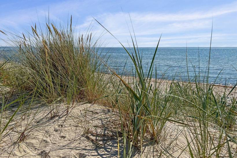 Foto von Ferienhaus WP37 in Dueodde - Bornholm